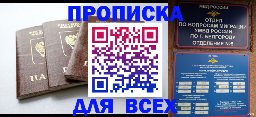 прописка в Нововоронеже
